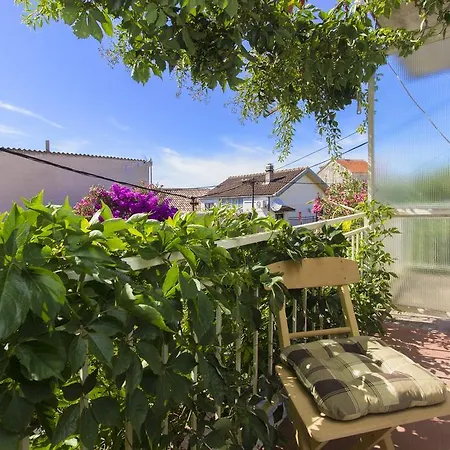 Neven Рогозница